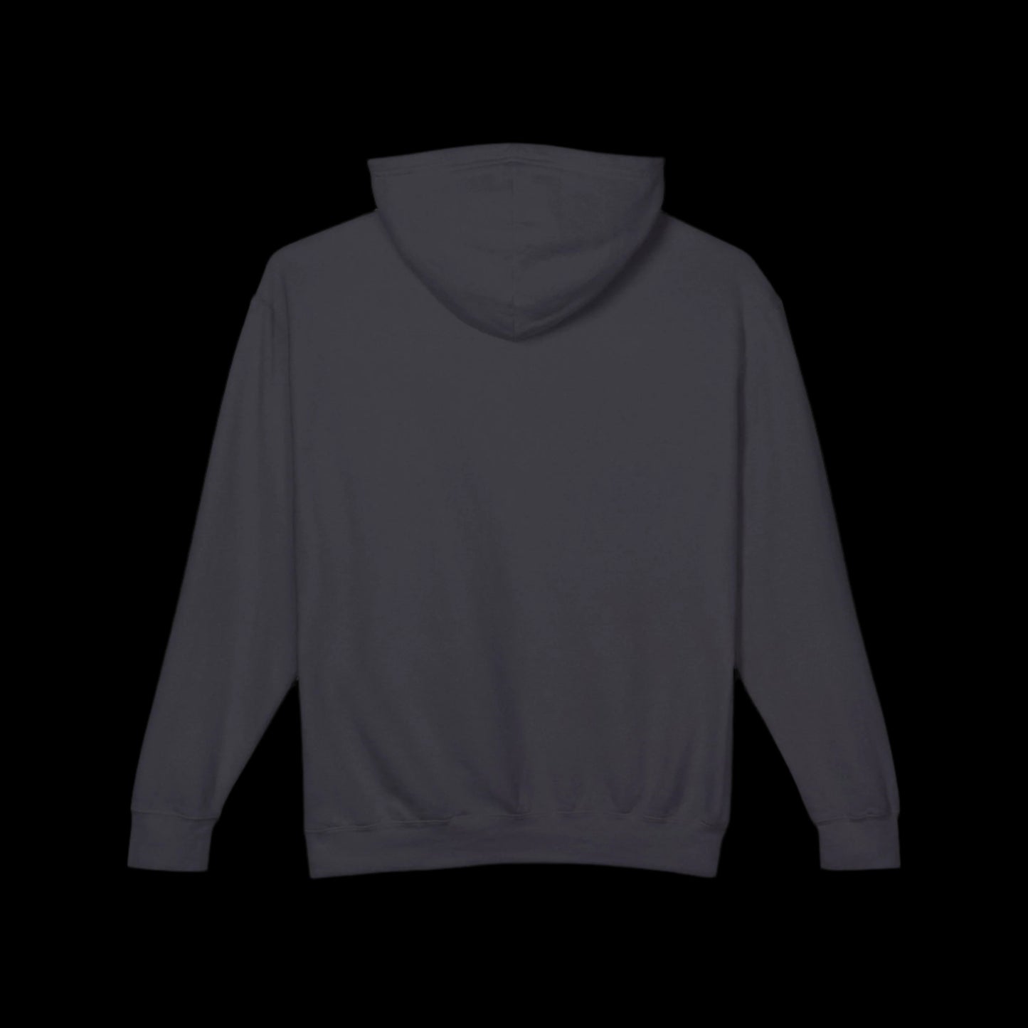 Unisex Lightweight Hooded Sweatshirt #2