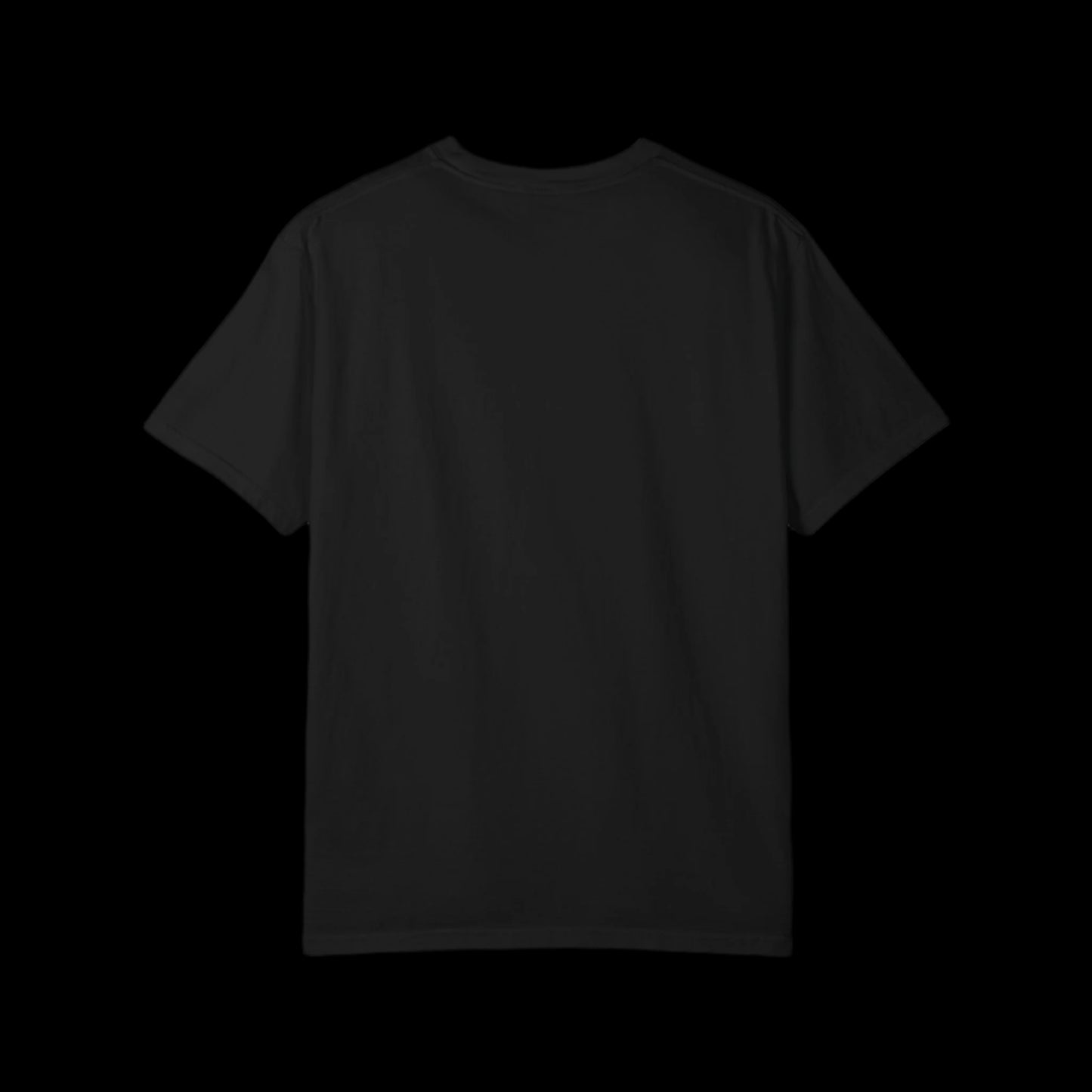 Unisex Garment-Dyed T-shirt #2